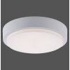 Paul Neuhaus Q-LENNY Plafoniera LED Bianco, 1-Luce, Telecomando, Cambia colore