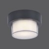 Paul Neuhaus Q-ERIK Applique e plafoniera LED Bianco, 1-Luce, Sensori di movimento, Telecomando, Cambia colore