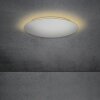Escale BLADE Plafoniera LED Argento, 1-Luce
