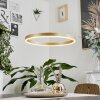 Barril Lampadario a sospensione LED Ottone, 1-Luce