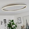 Barril Plafoniera LED Bianco, 1-Luce