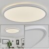 Folgares Plafoniera LED Bianco, 1-Luce