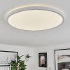 Folgares Plafoniera LED Bianco, 1-Luce