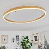 Barril Plafoniera LED Bianco, 1-Luce