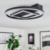 Canhoso Plafoniera LED Nero, 1-Luce