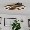 Canhoso Plafoniera LED Nero, 1-Luce