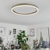 Barril Plafoniera LED Alluminio, 1-Luce