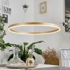 Barril Lampadario a sospensione LED Ottone, 1-Luce