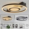 Canhoso Plafoniera LED Nero, 1-Luce