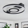 Canhoso Plafoniera LED Nero, 1-Luce