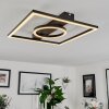 Canhoso Plafoniera LED Nero, 1-Luce