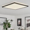 Folgares Plafoniera LED Nero, 1-Luce