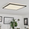 Folgares Plafoniera LED Nero, 1-Luce