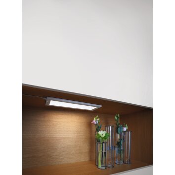 LEDVANCE Cabinet Illuminazione sottopensile Bianco, 1-Luce, Sensori di movimento