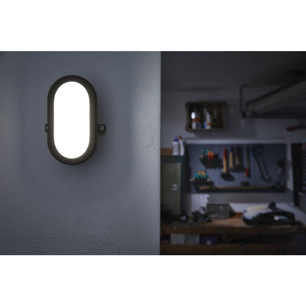 LEDVANCE BULKHEAD Applique da esterno Nero, 1-Luce main product photo