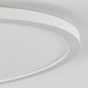 Sasinhosa Plafoniera LED Bianco, 1-Luce, Telecomando