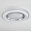 Cancinos Plafoniera LED Argento, Bianco, 2-Luci, Telecomando, Cambia colore