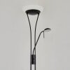 Chanlus Piantana LED Nero, 1-Luce