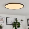 Hortinhas Plafoniera LED Nero, 1-Luce, Telecomando, Cambia colore