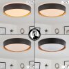 Louea Plafoniera LED Marrone, Aspetto del legno, Nero, 1-Luce