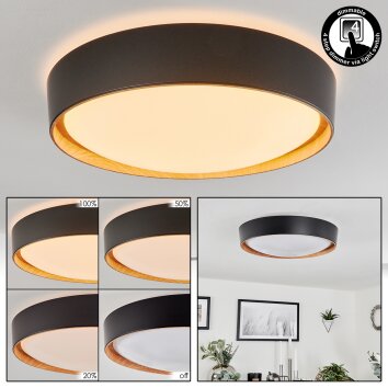 Louea Plafoniera LED Marrone, Aspetto del legno, Nero, 1-Luce