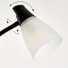 Phong Piantana LED Nero, 2-Luci