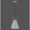 Leuchten Direkt EVA Lampada a Sospensione Grigio, 1-Luce