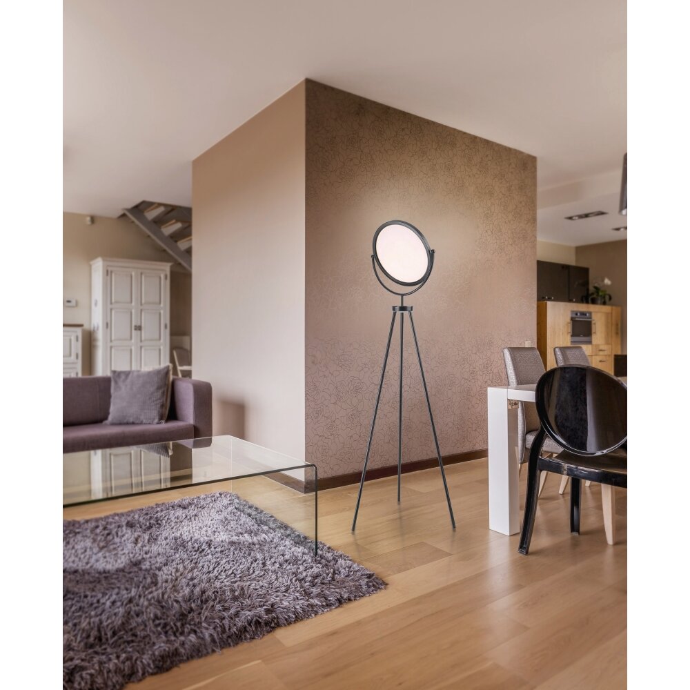 Leuchten-Direkt CARL Lampada da terra LED Nero, 1-Luce main product photo