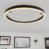 Barril Plafoniera LED Bianco, 1-Luce