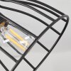 Tros Plafoniera Écru, Nero, 1-Luce