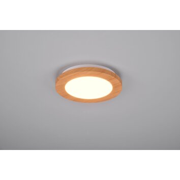 Reality Camillus Plafoniera LED Aspetto del legno, Bianco, 1-Luce