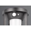 Trio Carmo Lampade solari LED Nero, 1-Luce, Sensori di movimento