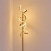 Lavaca Lampada da terra LED Oro, 2-Luci