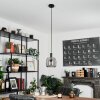 Kenong Lampadario a sospensione Nero, 1-Luce