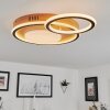 Phnhealu Plafoniera LED Marrone, Aspetto del legno, 1-Luce