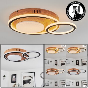 Phnhealu Plafoniera LED Marrone, Aspetto del legno, 1-Luce