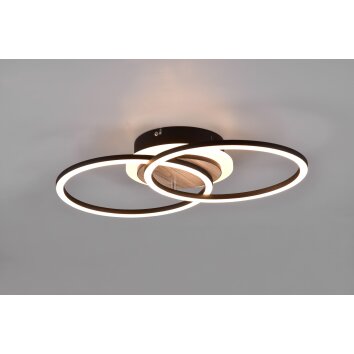 Reality Giro Plafoniera LED Aspetto del legno, Nero, 1-Luce, Telecomando