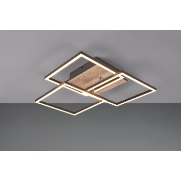 Reality Mobile Plafoniera LED Aspetto del legno, Nero, 1-Luce, Telecomando