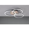 Reality Circle Plafoniera LED Aspetto del legno, Nero, 1-Luce, Telecomando