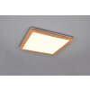 Reality Camillus Plafoniera LED Aspetto del legno, Bianco, 1-Luce