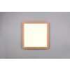 Reality Camillus Plafoniera LED Aspetto del legno, Bianco, 1-Luce