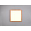 Reality Camillus Plafoniera LED Aspetto del legno, Bianco, 1-Luce