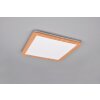 Reality Camillus Plafoniera LED Aspetto del legno, Bianco, 1-Luce