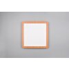 Reality Camillus Plafoniera LED Aspetto del legno, Bianco, 1-Luce