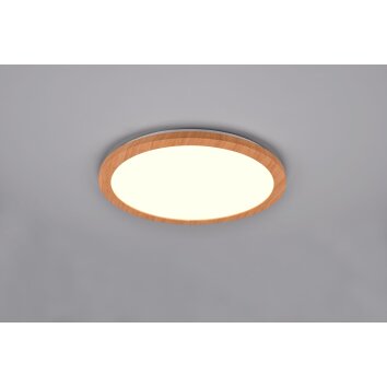 Reality Camillus Plafoniera LED Aspetto del legno, Bianco, 1-Luce