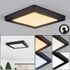 Canditas Plafoniera LED Nero, 1-Luce