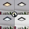 Canditas Plafoniera LED Nero, 1-Luce