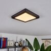 Canditas Plafoniera LED Nero, 1-Luce