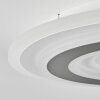 Wawo Plafoniera LED Bianco, 1-Luce, Telecomando