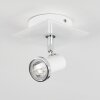 Lanrigan Plafoniera Cromo, Bianco, 1-Luce